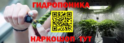PSILOCYBIN Апшеронск