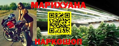 сатива Аргун