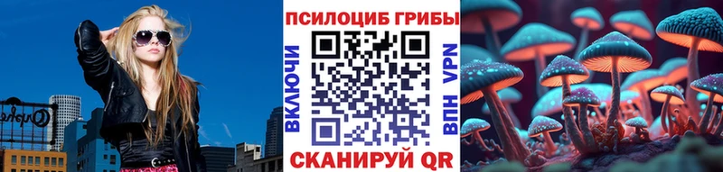 Галлюциногенные грибы мухоморы  где найти   Братск 